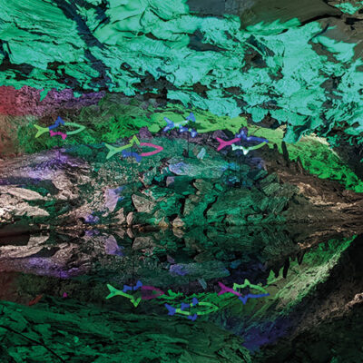 Naturwunder im Farbenrausch