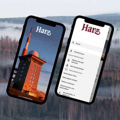 Sagenumwobene Bergwildnis digital entdecken: Neuer Menüpunkt „Nationalpark Harz“ inspiriert in der Harz-App