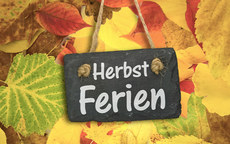 Während der niedersächsischen Herbstferien bietet das tfn verschiedene Mitmach-Formate für Kinder und Jugendliche an. 