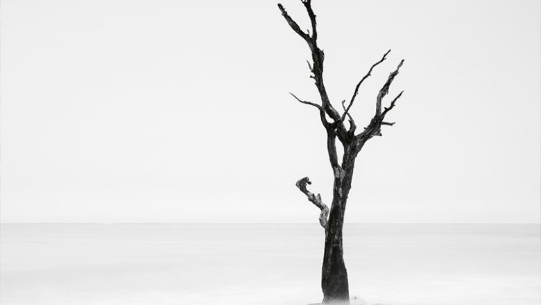 Glanzlichter-Ausstellung im RPM zeigt ausgezeichnete Naturfotografie