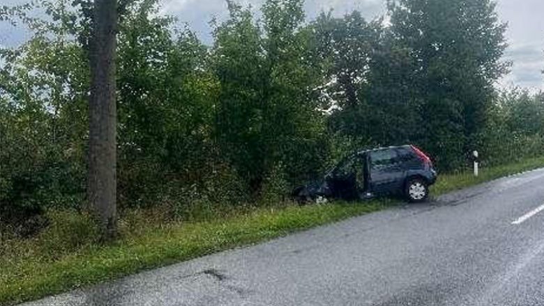 Schwerer Baumunfall fordert eine schwerverletzte Person