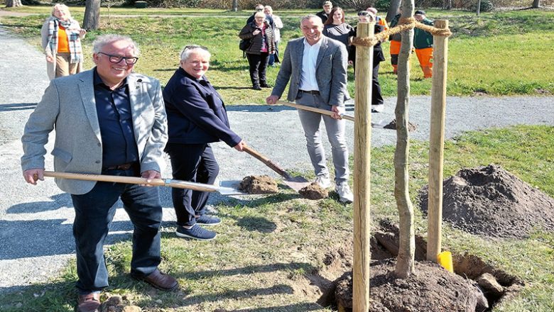 Symbol für Wachstum und Verbundenheit: der neue Geburts- und Ereigniswald in Bad Salzuflen