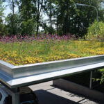 Förderung Dach-, Fassaden- und Hofbegrünungen sowie Trinkwasserbrunnen