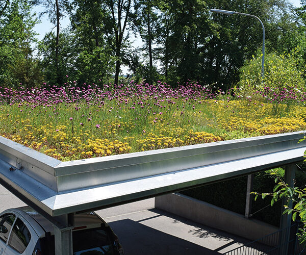 Förderung Dach-, Fassaden- und Hofbegrünungen sowie Trinkwasserbrunnen