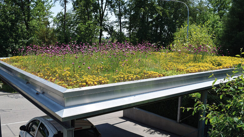 Förderung Dach-, Fassaden- und Hofbegrünungen sowie Trinkwasserbrunnen