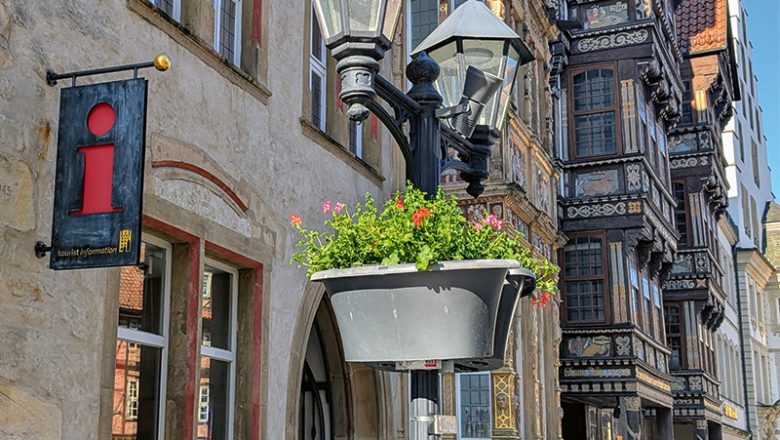 In Hildesheim blüht es wieder!
