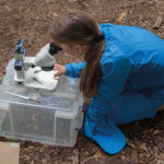 Kinder-Betreuungswochen in den Sommerferien