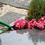 Mähsaison auf Friedhöfen beginnt: Hinweise zu Rasenpflegegräbern