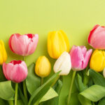 Regional, Freizeit, Outdoor