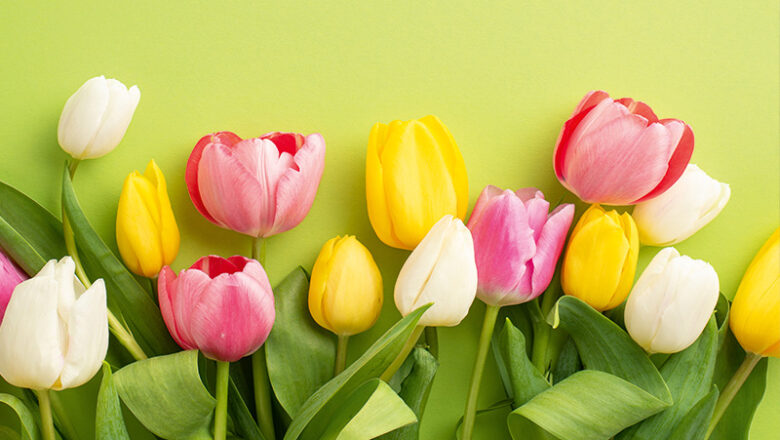 Ab in den Frühling!