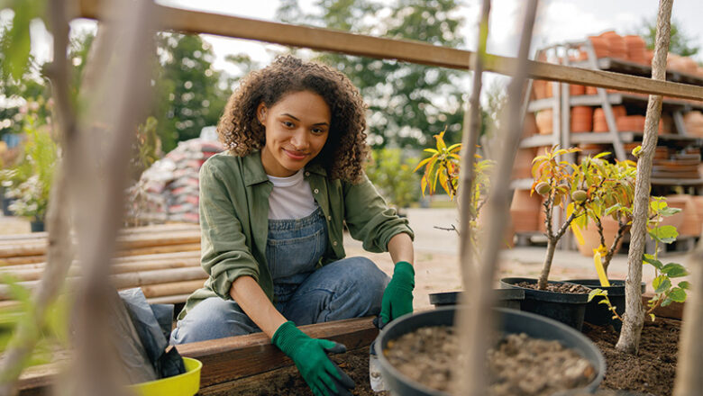 Aus Liebe zur Natur: Baumschulgärtner – Ausbildung mit Zukunft
