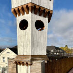 Weitere Vorarbeiten für innovatives „Reinigungsgradierwerk“ starten