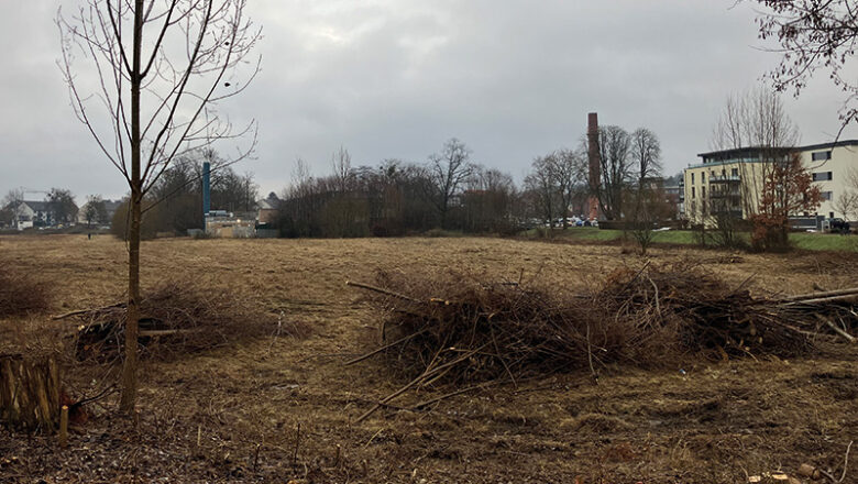 Grünschnitt vor Brut- und Setzzeit