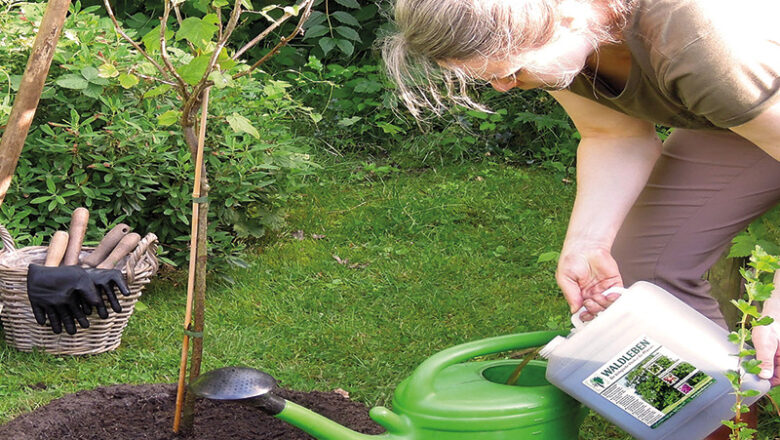 Mit Vorsprung ins nächste Gartenjahr