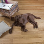 Wohnambiente mit Holz – aus einem Guss