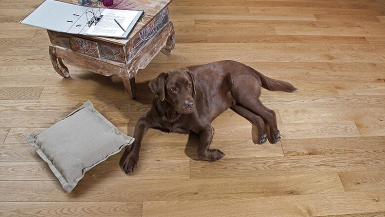 Wohnambiente mit Holz – aus einem Guss