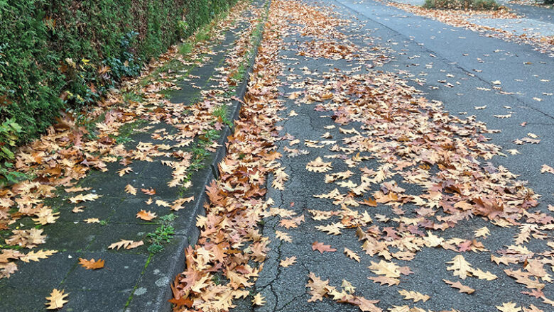 Gefährliches Laub auf Straßen und Wegen