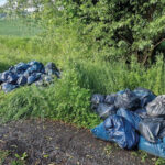 Illegale Müllentsorgung in Alfeld