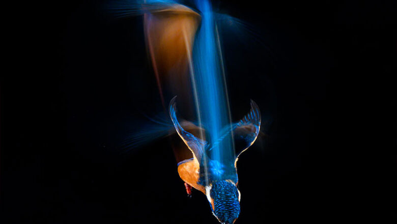 Ausgezeichnet: Foto-Ausstellung „Glanzlichter der Naturfotografie“