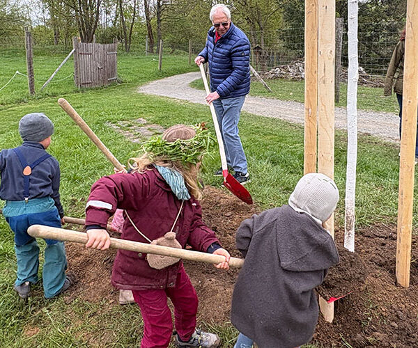 „Baum des Jahres 2026“: Zitterpappel im Wildgatter gepflanzt