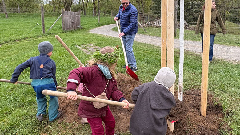 „Baum des Jahres 2026“: Zitterpappel im Wildgatter gepflanzt
