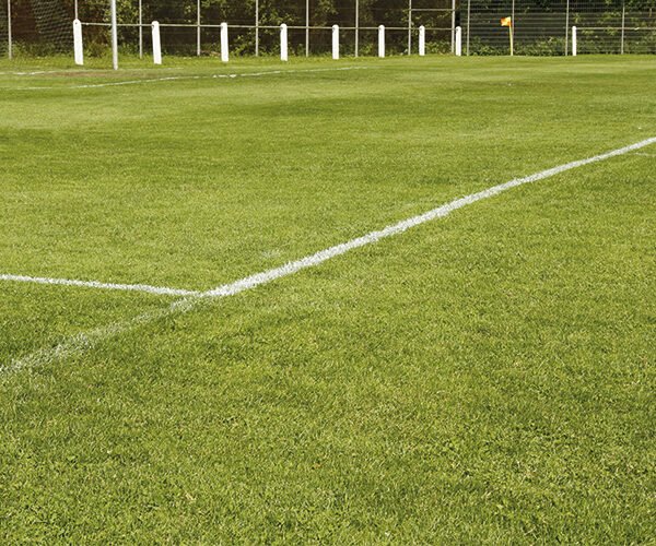 Öffentliche Nutzung des Sportplatzes an der RBG