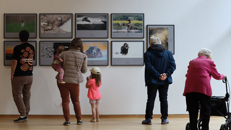 „Glanzlichter“-Fotoausstellung noch bis November im RPM