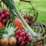 Altbewährtes Gemüse