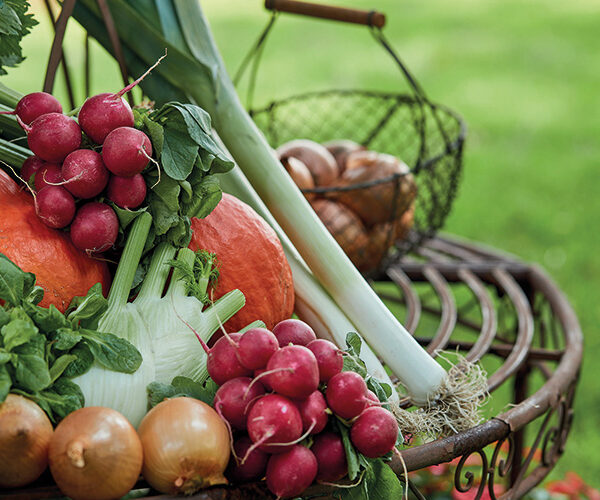 Altbewährtes Gemüse