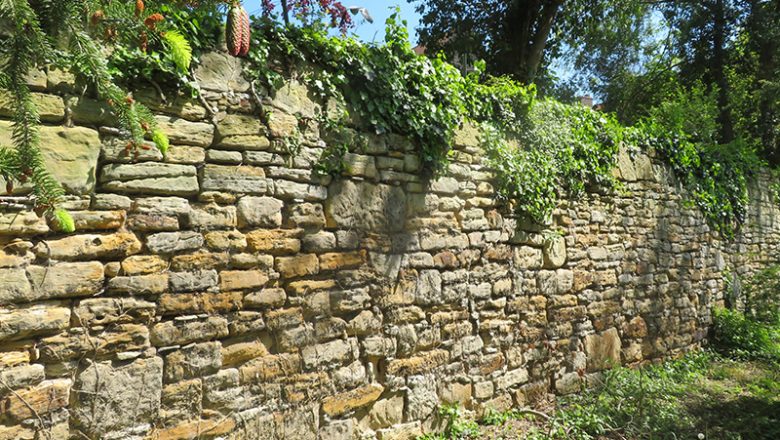 „Tag des offenen Denkmals“ im Zeichen der Stadtmauer