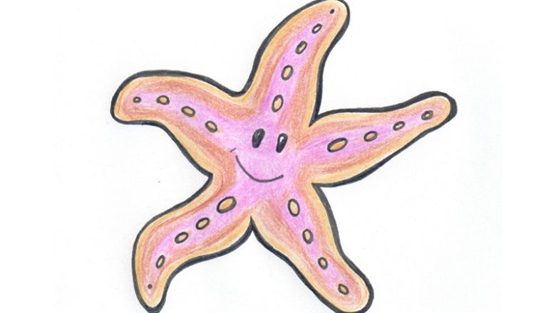 Kindertheater: Der kleine Seestern