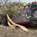 Eine verletzte Person und Totalschaden nach schwerem Baumunfall