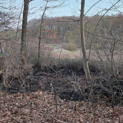 Waldrand gerät in Brand – Zeugenaufruf