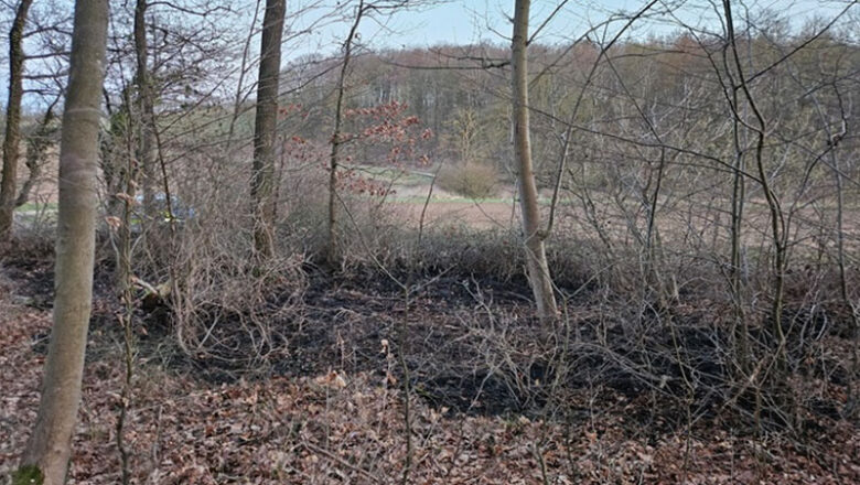 Waldrand gerät in Brand – Zeugenaufruf